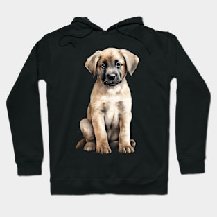 Puppy Anatolian Shepherd Hoodie